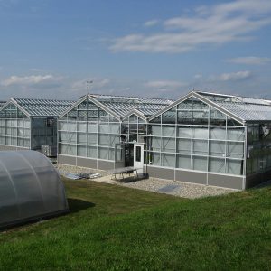 UMASS Bowditch Greenhouse